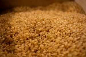 玄米ヨーグルトの作り方〜豆乳とリジュベラックの玄米を材料に〜玄米のレシピ③